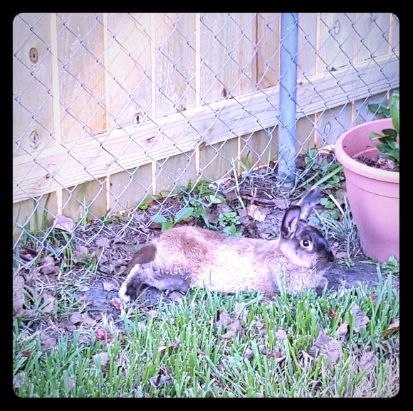 Meet your Posher, Courtney - Picture 1 of 1